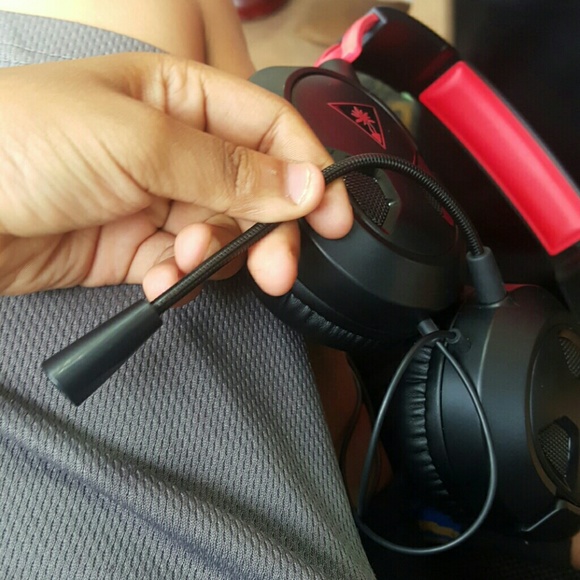 Turtle beaches - Picture 2 of 6